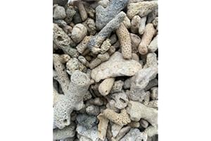 FINEST AQUATICS 1kg Crushed Coral Shell Skeleton Filter Media Marine Reef Bio Filter Media Buffer pH