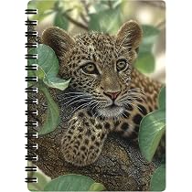 Bloc-Note 3D LiveLife Pandas Roux A6 - Carnet Spirale Avec Effet Lenticulaire Deluxebase