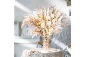 IS TYCONS 80pcs Pampasgras Getrocknet Natürliche Trockenblumen Deko DIY Trockene Blüten Strauß,Pampasgras-Bouquet Schilfblume Deko Ideal for Boho Wohnzimmer-Schlafzimmer-und Vasen