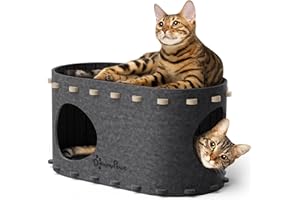 DownyPaws Cuccia Gatto in Feltro, Cuccia Gatto Interno con Doppio Foro che Combina Riposo e Gioco, Cucce per Gatti 58 x 33 x 30 cm Robusta e Antigraffio, Facile da Montare e Pulire, Grigio scuro