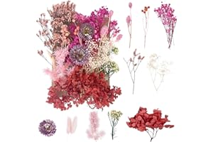 RUGBOL Dried Flowers, Pressed Flowers Dry Flowers Dried Flowers Crafts for DIY Arts Resin Scrapbooking Jewelry Making Floral Decorations（Red+Purple）