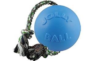 Jolly Pets Ball Romp-n-Roll zabawka dla psa, 10 cm, jasnoniebieska