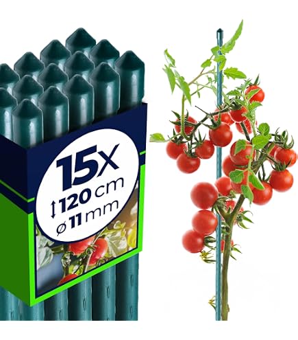 Rete da picchettamento verde 2 x 10 metri. Piante rampicanti a maglia larga, cetrioli, pomodori