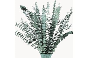 ‎ONING Oning 16 Stück Eukalyptus Getrocknet Echt Trockenblumen Eukalyptus 100% Natürlich Eukalyptuszweige Getrocknet Blumen Deko für Hochzeit Deko Schlafzimmer/ Balkon/ Tisch Dekoration (ca.40-43cm)