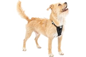 Kurgo Tru-Fit Hundegeschirr, Crash-Test-erprobtes Auto-Sicherheitsgurt, Für Hunde von 2 bis 5 kg, Größe XS, Schwarz