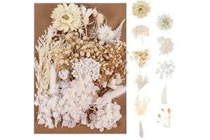 QINREN Fiori essiccati naturali, fiori e foglie secchi, set di fiori secchi e fiori veri, fatti a mano per realizzare segnalibri, scrapbooking
