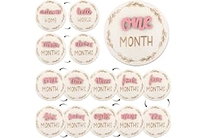 7 Pcs Baby Monthly Milestone Signs, 3D Pink Wooden Circles for Newborn Boy or Girl, Double Sided Baby Monthly Cards, Newborn Baby Shower Gift for 1-12 Months