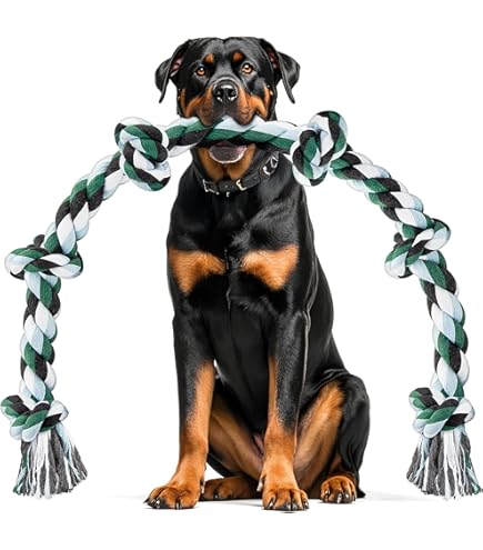 Trixie Denta - Corda Da Gioco Con Palla Per Cane, Design Divertente E Colorato Per L'Igiene Dentale - Foto 11