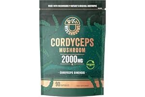 Cordyceps Capsules 2000mg | Cordyceps Mushroom Extract Supplement | 90 Capsules | Suitable for Vegetarians and Vegans | by Wiseshrooms