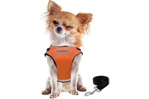 FEimaX Zestaw uprzęży i smyczy z logo (S, pomarańczowy)