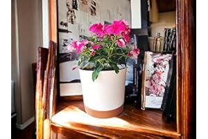 Mima Tus Plantas Macetero de Autorriego con Plato Incluido, Disponible en 3 Tamaños y 3 Colores | Diseño Moderno y Duradero para Plantas de Interior y Exterior (Crema, 19,5 cm x 19 cm x 17 cm)