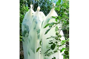 Vilmorin – Funda de crecimiento de tomate orgánico 0,6 x 8 m – Fácil de usar – Protege y favorece la germinación y el crecimiento de los jóvenes brotes de tomates – en harina de cereales 25 μm
