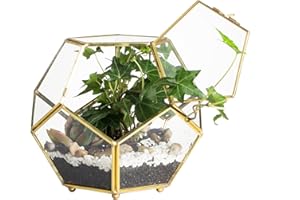 NCYP Fermer à Pied en cuivre Doré Laiton Verre géométrique Terrarium avec Porte pentagone Forme de Boule près de fougère Moss Pot de Fleurs artificielles écran Pot Box 17,5 x 17,5 x 15 cm Pas de Plantes