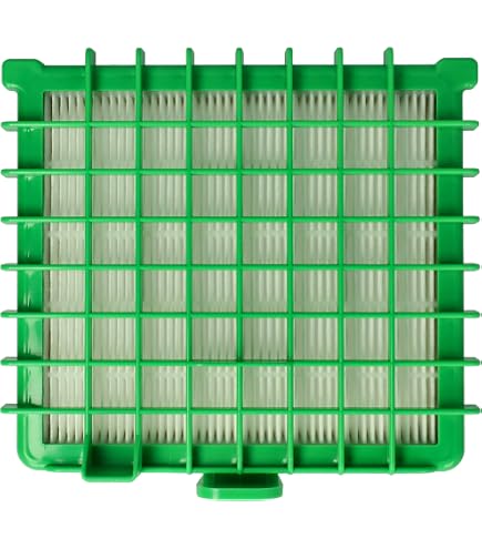 Filtro Hepa Aspirapolvere Rowenta Silence Force