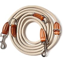 BESTIA Rocky Hundehalsband – 100% Echtleder, Weich Gepolstert, 7 Größen Von XXS Bis XXL