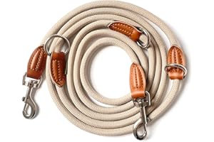Leisegrün Hundeleine große Hunde | Führleine 3m verstellbar mit 2 Karabiner | 3 Meter lang x 1,1 cm | Nur 300 g | Modell Devon | Sand Beige