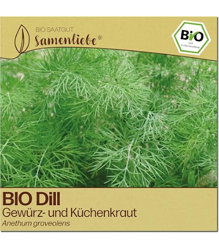 Ramtillkraut 1000 Samen -Guizotia abyssinica- : Amazon.de: Garten