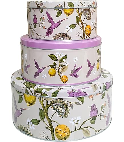 Round Cake Tins Set Of Cake Storage Tins Cookie Cupcake Biscuit