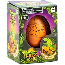 Nurchums Keycraft Large Stegosaurus Hatching Egg, Hatch And Grow Your