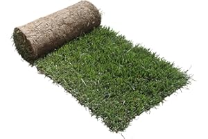 Ricarica S Cane PetZolla - Traversina per cani in vero prato naturale e atossico 60x40cm, Ricambio facile da sostituire per il Kit Cane S, Lettiera per cani da interno dura oltre le 4 settimane