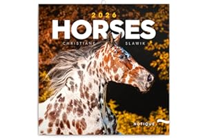 NOTIQUE Calendrier mural 2026 - Motif chevaux - Avec calendrier mensuel - 30 x 30 cm (30 x 60 cm) ouvert