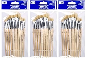 ‎TSI TSI 49032 TSI Borstenpinsel-Set 10 teilig (3 Packungen ? 10 Pinsel)