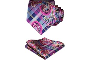 HISDERN Cravate Paisley Homme Cravates Floral Cravate Mariage Cravates de Poche Set