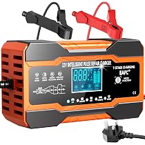 Caricabatterie Intelligente P30 6V/12V/24V 30A Per Auto, Moto, Nautica – Ricarica Rapida Per LiFePO4 E Piombo-Acido