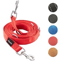 ZEZE Elastische Hundeleine 152 Cm – Verstellbar, Reflektierend, Für Mittelgroße & Kleine Hunde/Katzen, Weiß