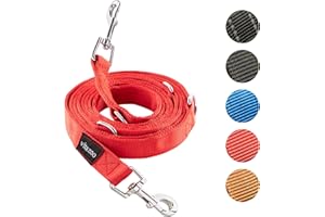 vitazoo Hundeleine - 3mx2,5cm - Nylon-Graphit Leine mit Karabinern für Kleine, Mittelgroße und Große Hunde - Verstellbare Führleine mit 4 Verschiedenen Längen in Rot für Ihren Hund