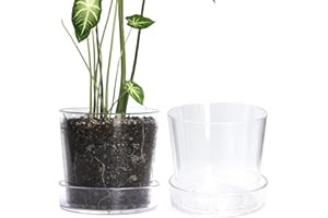 Phoenix Vine 8 Inch Clear Acrylic Planter Pot with Tray, Orchid Pot with Drainage Holes, Deep Saucer for Bottom Watering, Transparent Containers for Indoor Plants, Herbs, Set of 2, 91-A-G-2