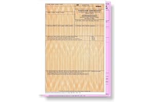 EBS VERSAND 50 x Ursprungszeugnis 2-teilig = 100 Blatt, Original und rosa Antrag für Laser- und Inkjetdrucker, nummeriert, Ursprungszeugnisse