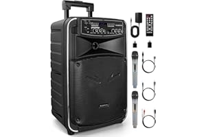 FUNPICK Tragbares Bluetooth PA-Lautsprechersystem mit drahtlosem Mikrofon, 12 Zoll Tieftöner, wiederaufladbare Karaokemaschine, USB/TWS/LINE in/FM FTSK12-2