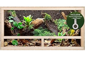 REPITERRA Terrario per lucertole di serpenti gechi - ventilazione laterale 60x30x30x30 cm - rettili