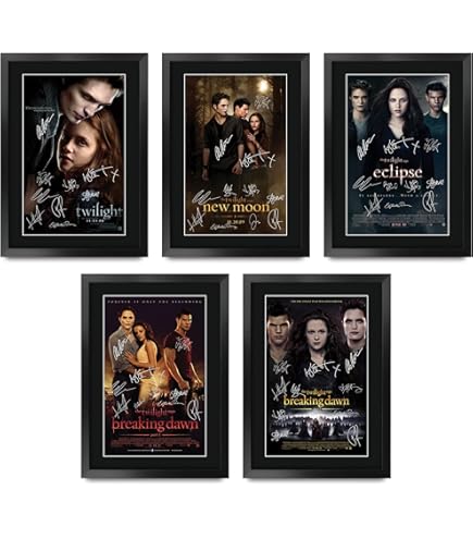 Acchiappasogni Vintage Realizzato A Mano Con Rami Di Vite In Sitle