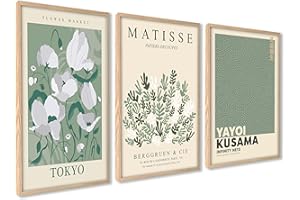 ag.art deco Affiche Decoration Murale 50x70 cm | Affiche Murale pour Salon et Chambre à Coucher | Poster Mural Sans Cadre | Lot de 3 Tableaux (Fleurs Matisse)