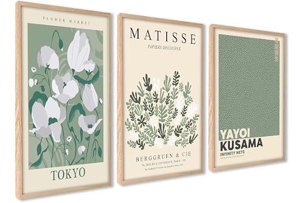 ag.art deco Affiche Decoration Murale 50x70 cm | Affiche Murale pour Salon et Chambre à Coucher | Poster Mural Sans Cadre | Lot de 3 Tableaux (Fleurs Matisse)
