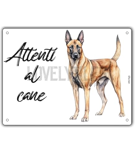 CARTELLO PERSONALIZZATO ATTENTI al cane con foto e nome del tuo cane o a scelt EUR 14,99