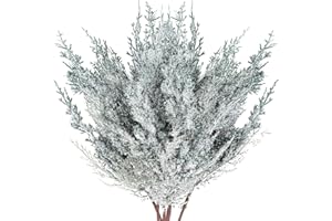 KUNJOCY 6 Stück mattierte künstliche Zedernzweige Tannenzweige 43,2 cm schneebedeckter künstlicher Zedernzweig weiß Wintergrün Stiele Kiefernspieße Zedernspray für Weihnachtsbaum Handwerk Kränze Girlanden