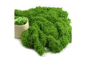 Hopton 150g Kunstmoos zum Dekorieren, Moos Deko, Moos zum Basteln, Islandmoos, Kunstrasen zum Basteln, Kunstpflanze, Fake Pflanzen für Übertöpfe Künstlicher Pflanzen, Aquarium, Krippe Modellbau