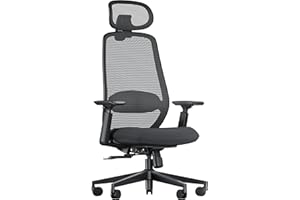 ProtoArc EC200 Sedia da ufficio ergonomica per la casa, sedia da scrivania girevole, poggiatesta 3D regolabile e supporto lombare, seduta scorrevole per un comfort di oltre 8 ore, Nero