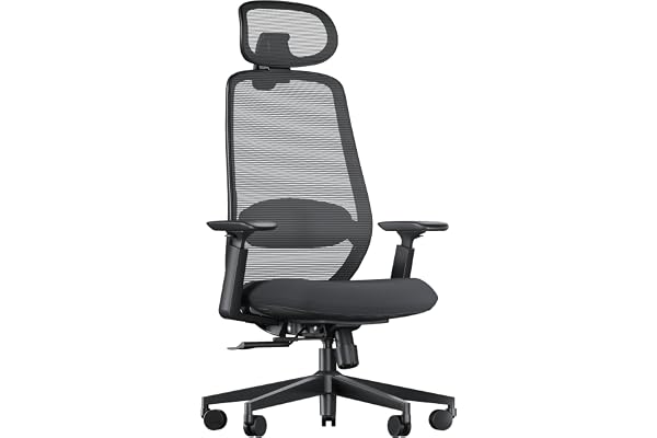 ProtoArc EC200 Ergonomisk Hemmakontorsstol, Svängbar Skrivbordsstol med Justerbar 3D Nackstöd och Ländryggsstöd, Glidfärdig Sittdyna för 8+ Timmars Komfort