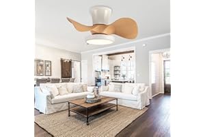 ycwdcz Niños Pequeño Ventilador De Techo con Luz Y Mando A Distancia Silencioso Motor DC LED RegulableLampara Ventilador Techo Y Temporizador App para Dormitorio Salón Reversible-A