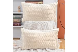 Madizz 2 Pezzi Federe in Velluto Copricuscini Morbido Decorativo Fodere per Cuscino Lusso Stile per Divano Camera da Letto Beige Rettangolare 30x50 cm