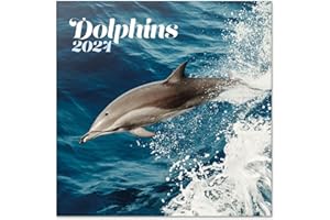 Grupo Erik: Calendario Delfini 2024 da Muro, 12 mesi + 4 in omaggio, 30x30cm FSC®, ideale come Calendario 2024 da parete, Calendario ufficio 2024, Calendario animali 2024