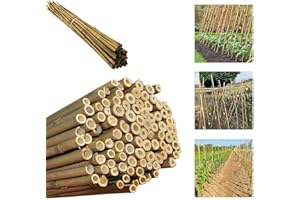 LG TRADERS LIMITED Gardens 2Ft,3Ft,4Ft,5Ft,6Ft,7Ft,8FT,10Ft Strong Heavy Duty Professional Bamboo Plant Support Garden Canes (100, 4ft, 14-16 mm)