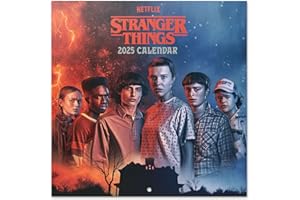 Grupo Erik: Calendario Stranger Things 2025 da Muro, 12 mesi, 30x30cm FSC® + Poster in Regalo, Calendario 2025 da parete, Calendario Stranger Things Gadget