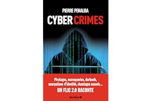 Cyber crimes: Un flic 2.0 raconte