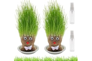 BAISHUWU Graskopf Puppenpflanze, 2PCS Wachsende Graskopf Puppenpflanze, Graskopf Wachsende, Graskopf puppe Mit Tablett, Mini Bonsai Gras Kopf Figure Puppen, Kinder Handwerk DIY Lustiges Geschenke (M1)