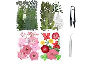 Cayway 4 paczki naturalnych suszonych kwiatów z żywicy tłoczonej suszonych kwiatów, naturalne suszone tłoczone kwiaty do scrapbookingu, biżuteria z żywicy epoksydowej (zielony, różowy)